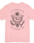 rear view of a pink colored fabric patriotic shirt with an americantees.us logo on front and the great seal of the united states on the back